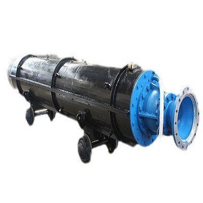 The development direction of submersible sewage pumps