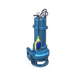 Maintenance methods for submersible sewage pumps